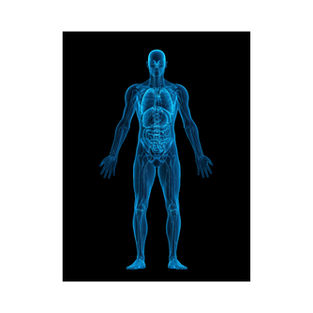 Everything You Need to Know About Piezowave Therapy