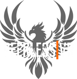 Peerless VR Logo