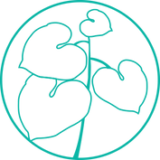 Kava icon.png
