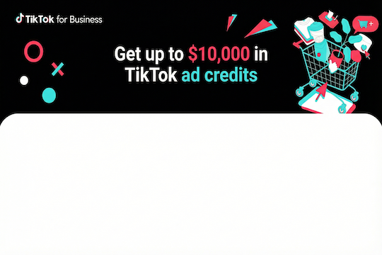 TikTok Ads banner