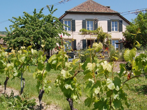 04 novembre 2017: Marché au Domaine de la Brazière à Tartegnin.