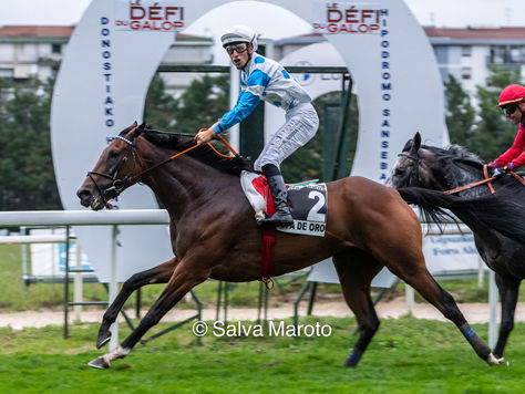 Il Decamerone consigue el segundo Oro consecutivo