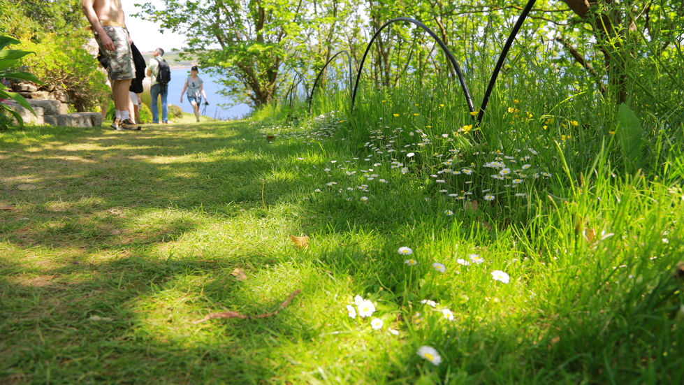 Cornwall has one of the best beaches and seaside views in the UK. I was totally by its early summer vibe.
Yandan UK Scenery Photography.