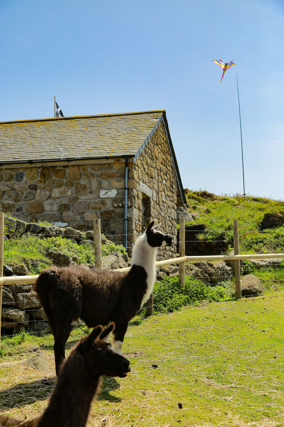Cornwall has one of the best beaches and seaside views in the UK. I was totally by its early summer vibe.
Yandan UK Scenery Photography.