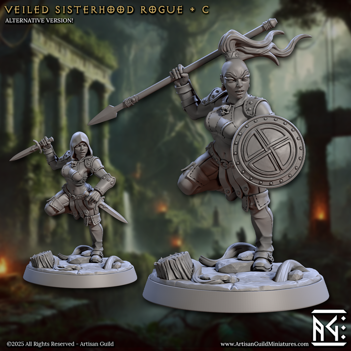 Thumbnail: Veiled Sisterhood - Veiled Sisterhood Rogue