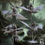 Thumbnail: Lizardmen of Falgor's Swamp - Pterowyvern Riders