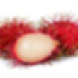 Rambutan