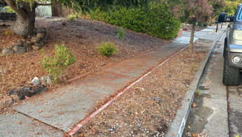 Front yard space with zero landscaping presence or charm.
