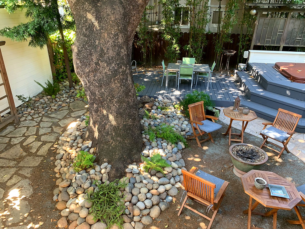 Rockridge front and backyard renovation hardscape and drought tolerant planting designed and built by Shaw Landscaping and Design Bay Area California