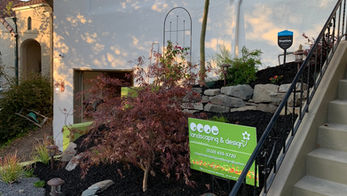 Oakland Bold Beautiful after dark mulch plantings landscape transformation Shaw Landscaping & Design