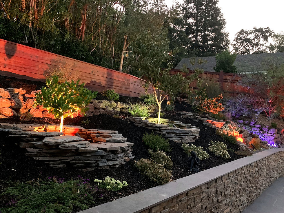 Terraced backyard with evening landscape lighting moss rock boulder walls and redwood retaining wall and stacked stone tree rings designed and built by Shaw Landscaping and Design Bay Area California