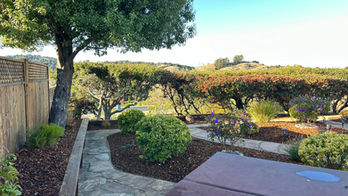 San Rafael elegant backyard after landscape transformation
