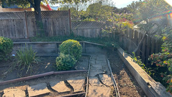 San Rafael dry neglected yard before landscaping