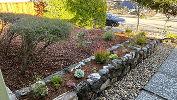 San Rafael rock wall drought tolerant succulent garden