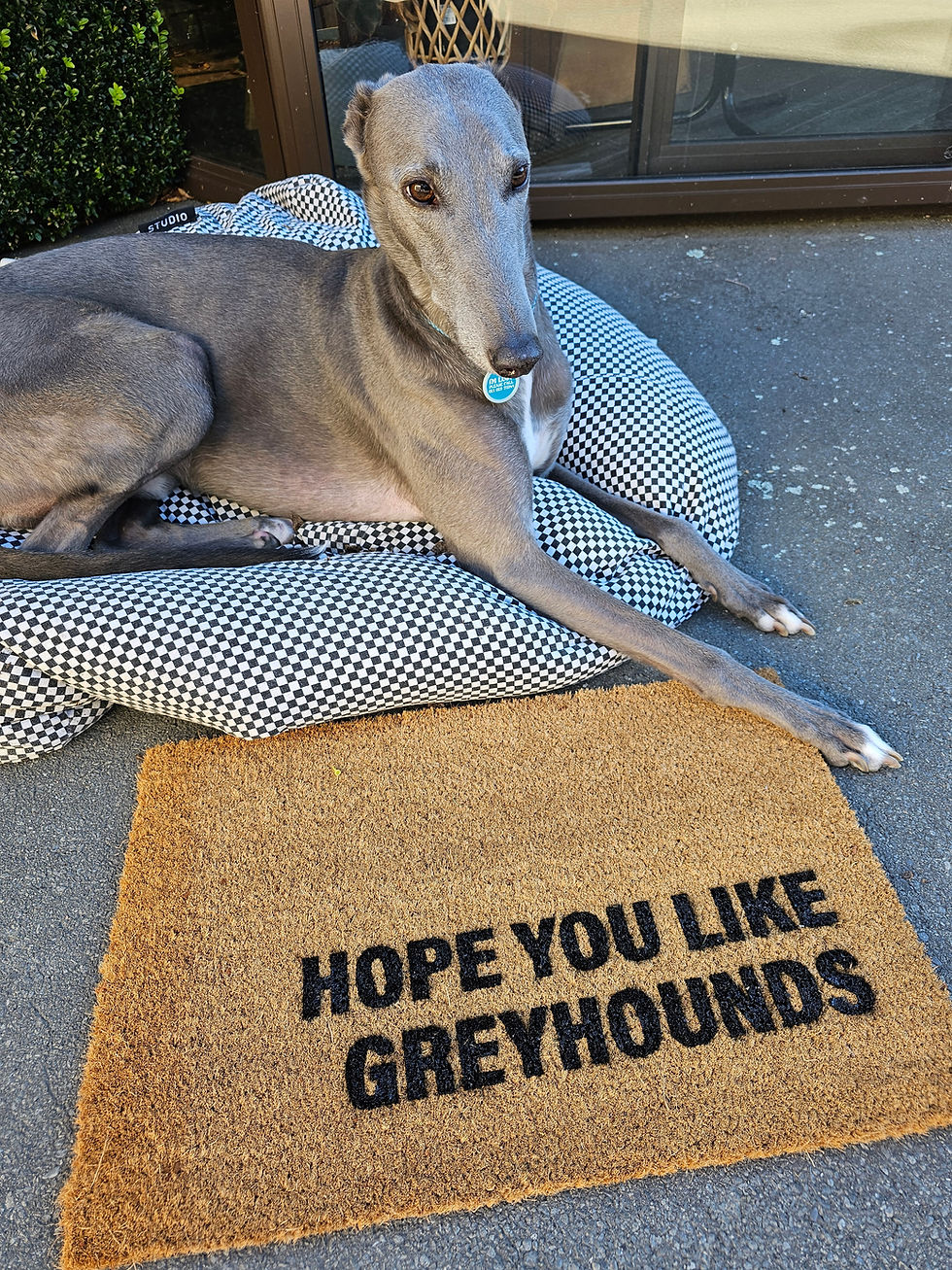 Thumbnail: Doormats with Charm