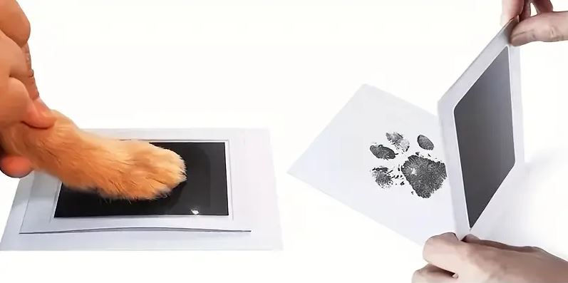 Thumbnail: Ink Free Pads for pet pawprints
