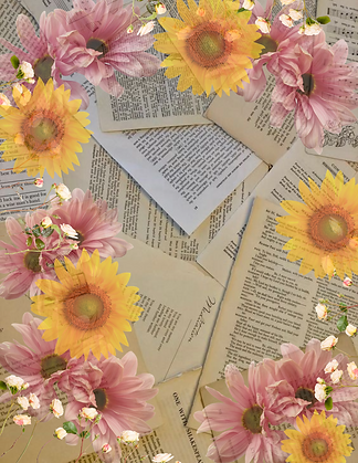 Untitled (1).png