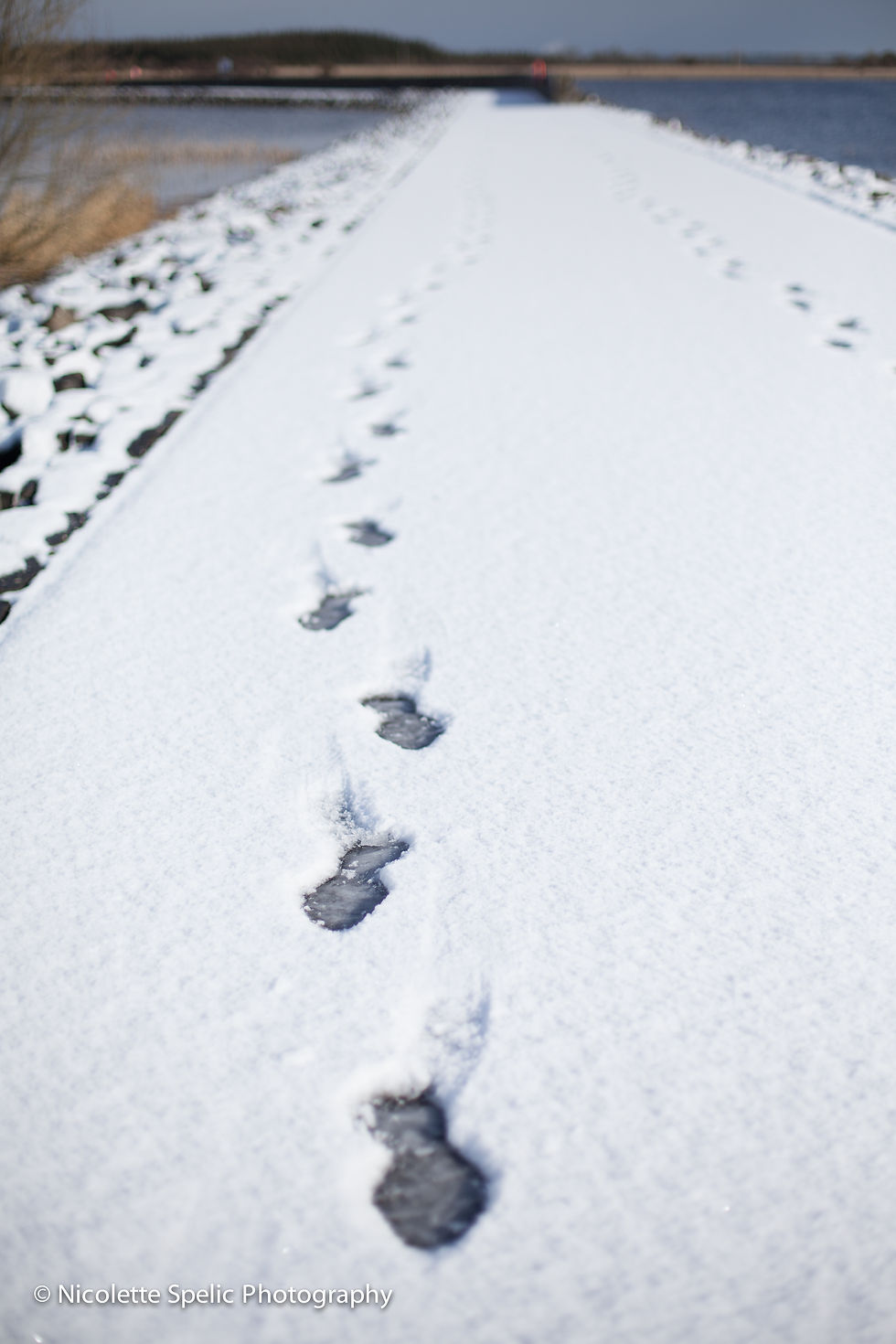 winter_06032015 (57 of 72).jpg