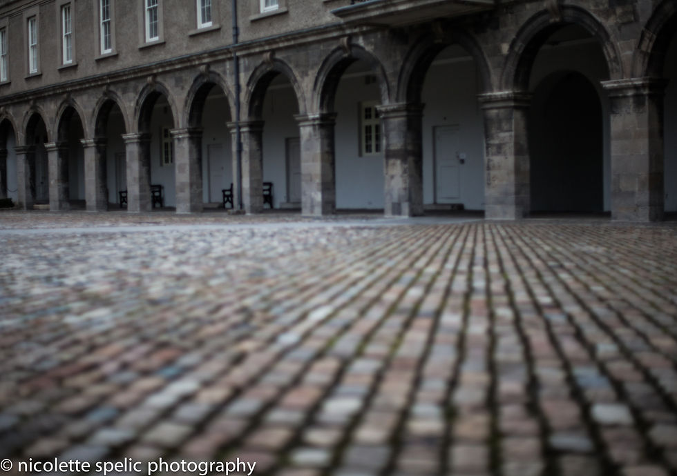 Kilmainham_Royal_Hospital_01142015 (10 of 26).jpg
