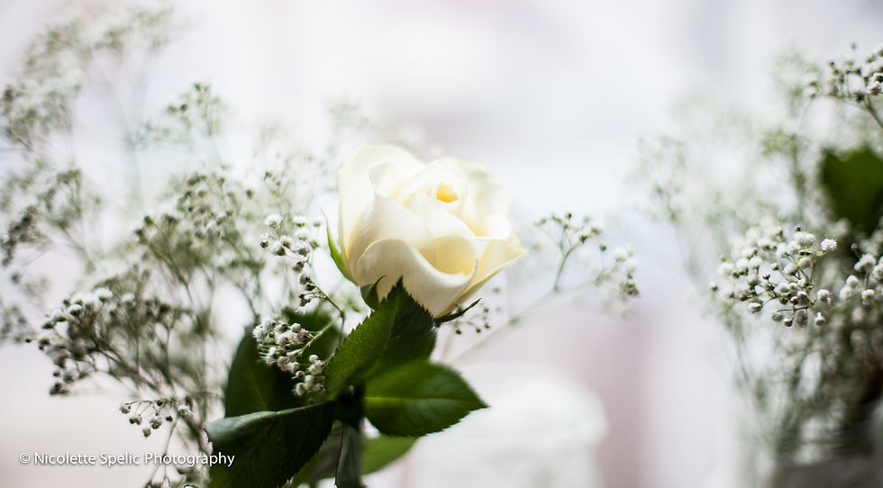 sadhbh (1 of 1)-31.jpg