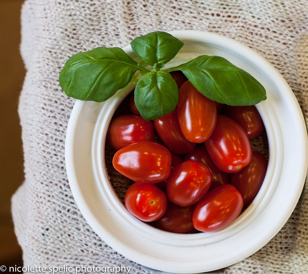 tomatoes_frame.jpg
