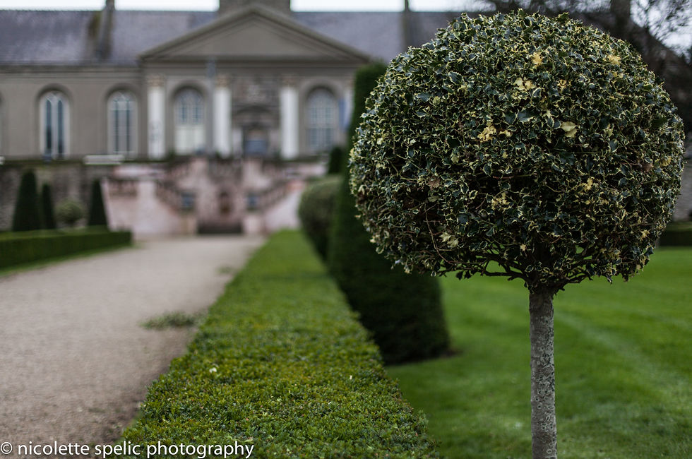 Kilmainham_Royal_Hospital_01142015 (22 of 26).jpg