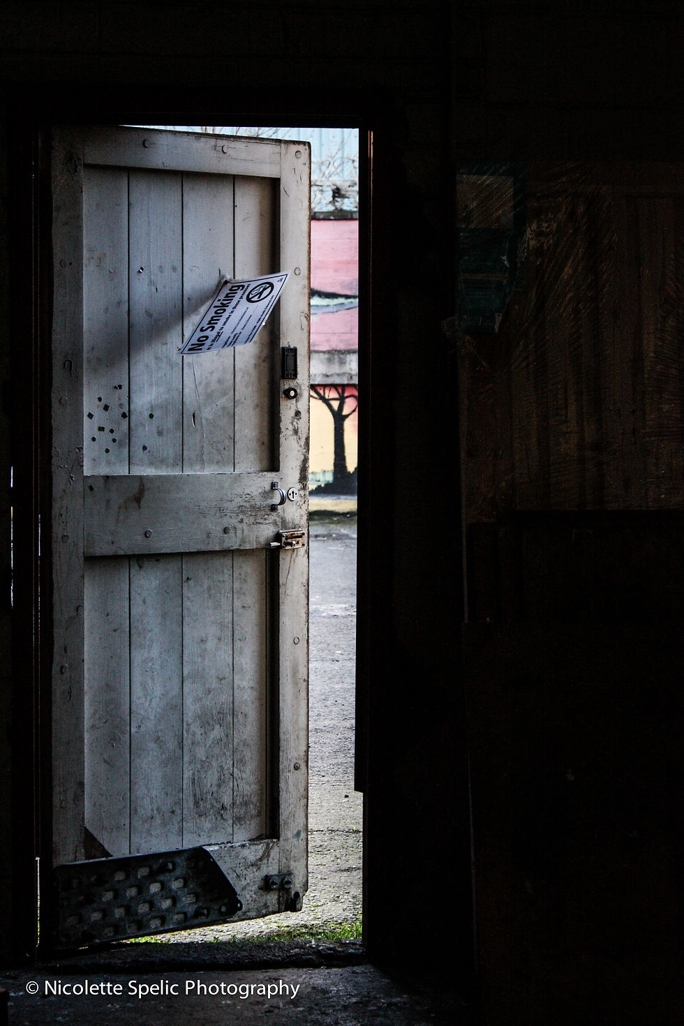 random collection (8 of 28).jpg