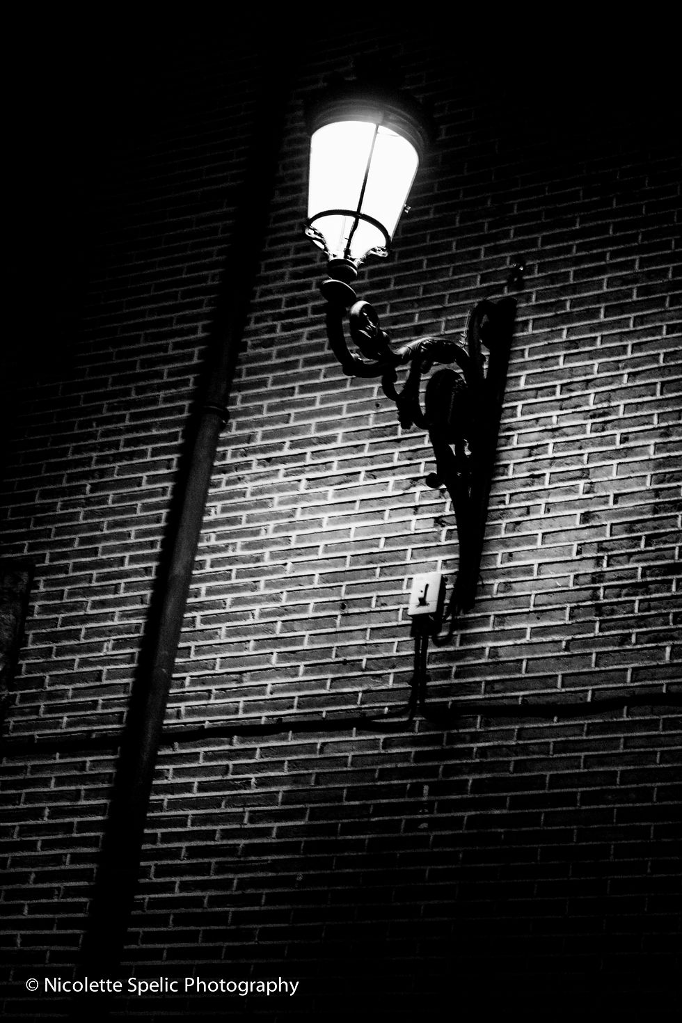 random collection (14 of 28).jpg