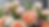 Home page flowers.png