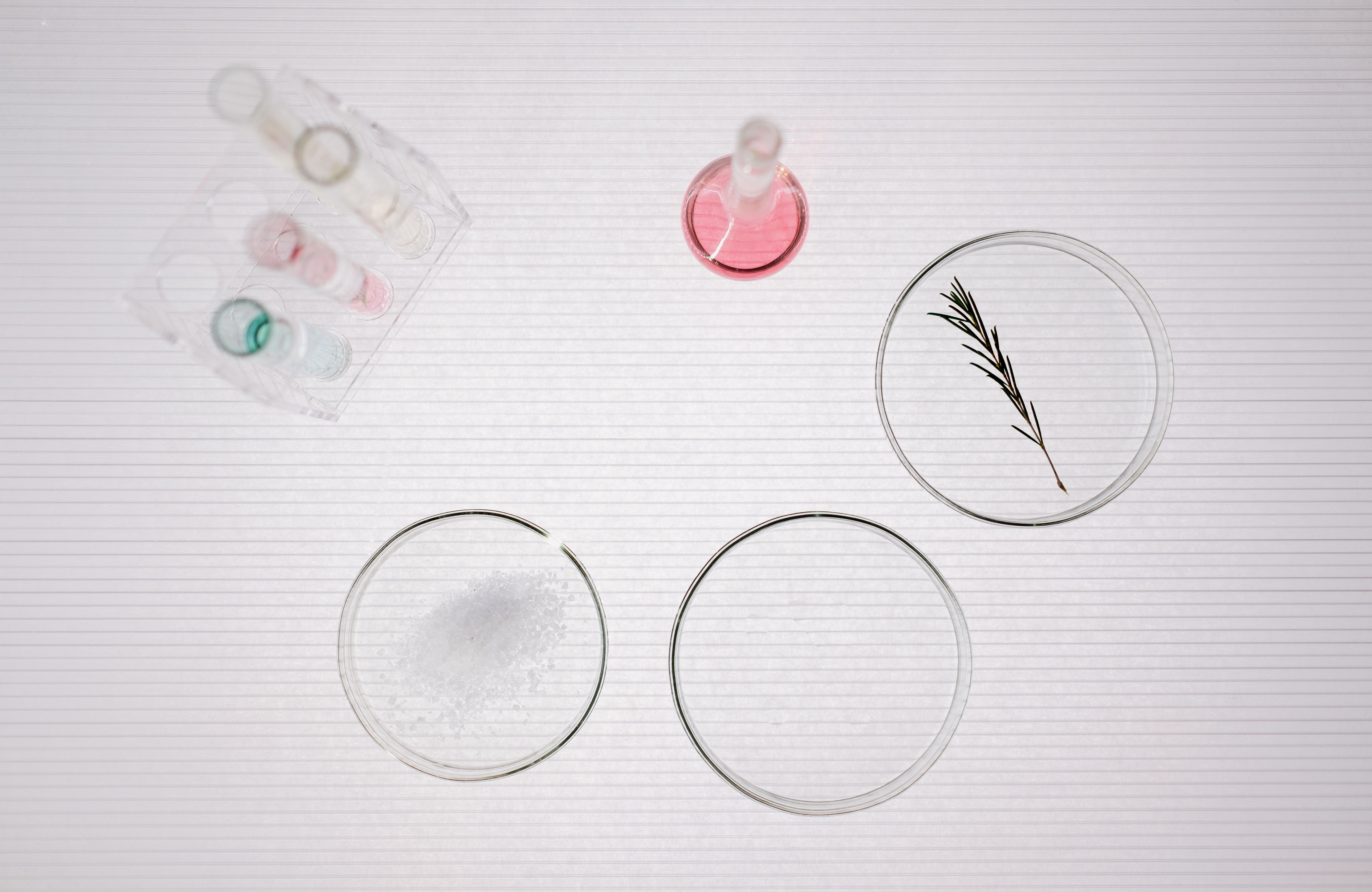 Top view of equipment in a scientific laboratory setting. It looks too pretty to be a real laboratory, but hey, this is a blog on the internet. There are test tubes of pink and blue liquid, a flask containing something pink, and petri dishes. One dish contains some kind of powder and another appears to have a sprig of rosemary on it. Are they studying live cultures on the rosemary? I have no idea. Science!