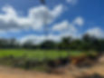 <p class="font_8">Discover an exclusive opportunity to own land in a newly developed <strong>gated community just 5 minutes from downtown Sosúa</strong> and 15 minutes from Puerto Plata Airport. Spread across more than 20,000 m² of well-maintained land, this project offers individually titled <strong>lots starting at 1,000 m²</strong>, each designated <strong>for the construction of a single private villa</strong>—perfect for those seeking privacy, comfort, and a relaxed Caribbean lifestyle.</p>
<p class="font_8"><br></p>
<p class="font_8">The community features a secure gated entrance, <strong>24/7 security</strong>, <strong>paved roads</strong>, water and electricity connections, and <strong>construction options with all permits ready</strong>, making it easy to start building right away. Nestled among serene mountains and just 800 meters from the main road, residents enjoy both <strong>peaceful surroundings</strong> and <strong>quick access to amenities, beaches, restaurants, and shops</strong>.This is an excellent opportunity for individuals looking to build a permanent home, vacation villa, or simply invest in a quiet, secure area close to everything.</p>
<p class="font_8"><br></p>
<p class="font_8"><strong>Owner financing available</strong>, For more details or to schedule a visit, please fill out the contact form—we’re happy to help you find your piece of paradise in Sosúa.</p>
