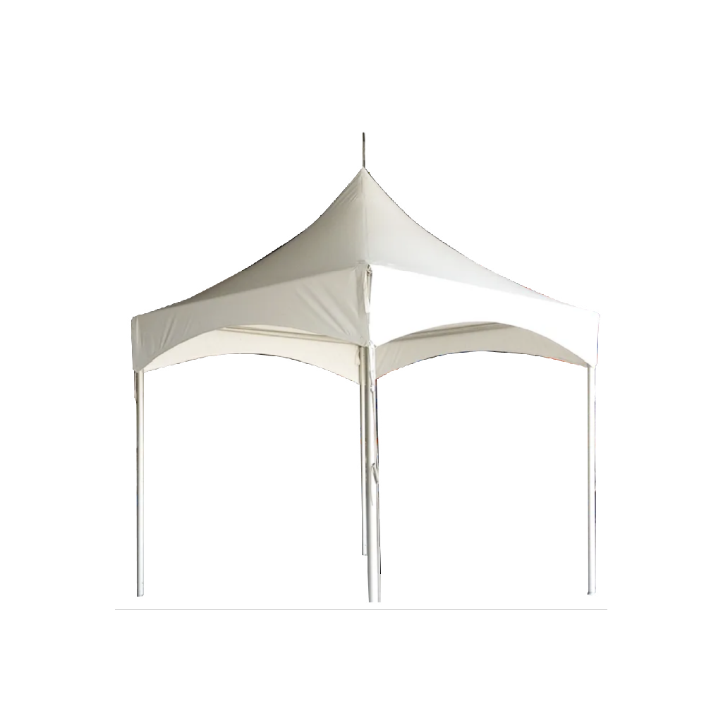 CARPAS MARQUEE (3 X 3 MTS)(10 X 10 PIES)