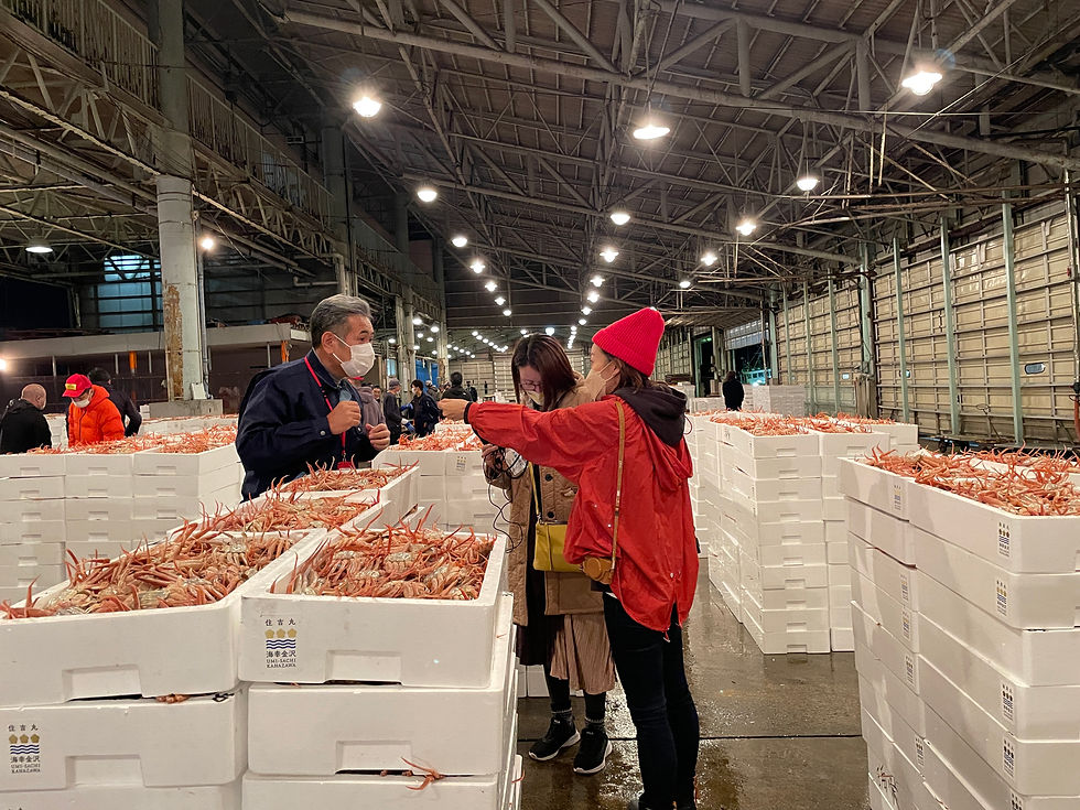 Kanazawa Seafood Season: Discover Bottom Trawling, Omicho Market, and Local Cuisine
