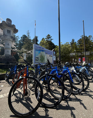 【2026年最新】自転車ルール改定でも安心|金沢・白山のガイド付きサイクリングツアー