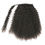 Thumbnail: The Wrap Around Ponytail - Kinky Curly 