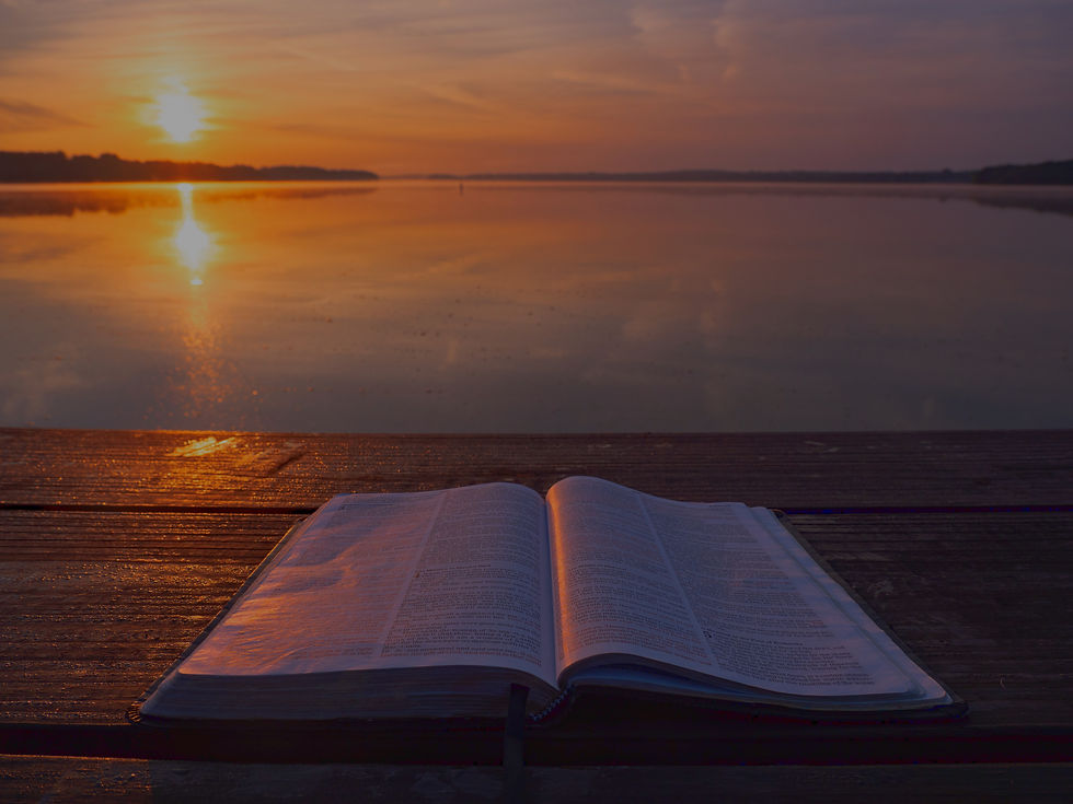 Morning Reading_edited.jpg