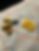 IMG_1715.jpeg