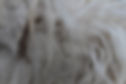 woolly - 102.jpeg