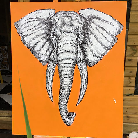 Elephant