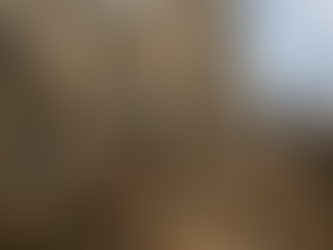 La renaissance de Notre-Dame de Paris : un chantier hors du temps