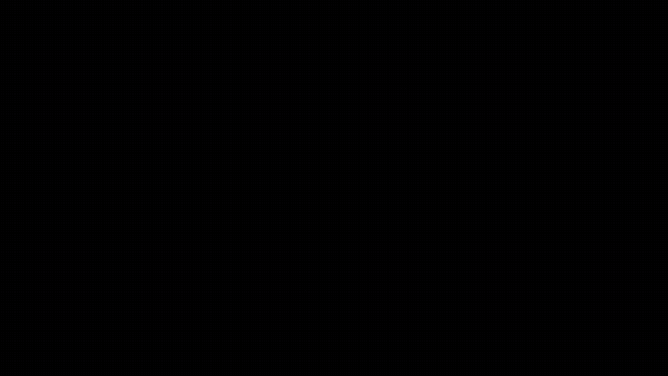 Logo Animation
