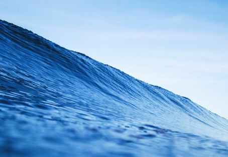 PRIMA DELLO TSUNAMI AZIENDALE