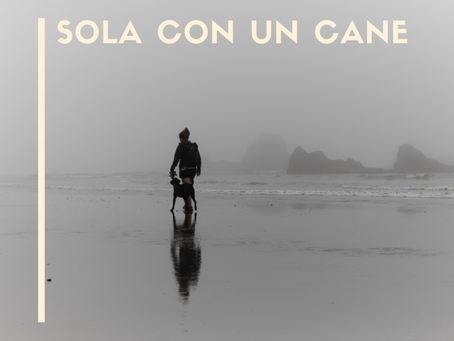 COMPAGNI DI VIAGGIO CERCASI