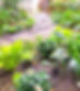 20230514_172703_edited_edited.jpg