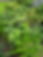 Resized_Resized_20240710_130716_1738767060321_1738767061703.jpeg