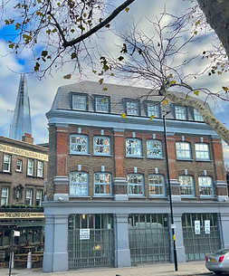 exterior of flat iron house.jpeg