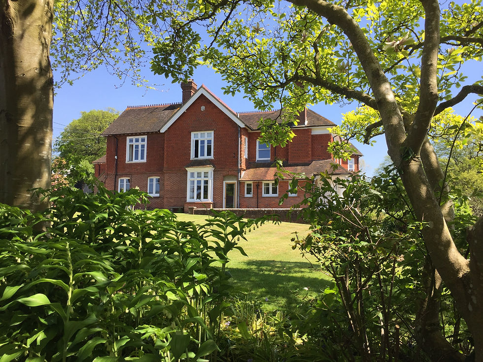 The house