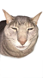 αρχείο λήψης (1)_edited_edited.png