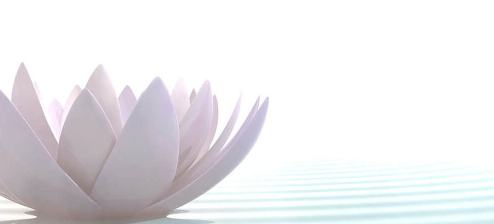 lotus-zen-e1483030980455.jpg