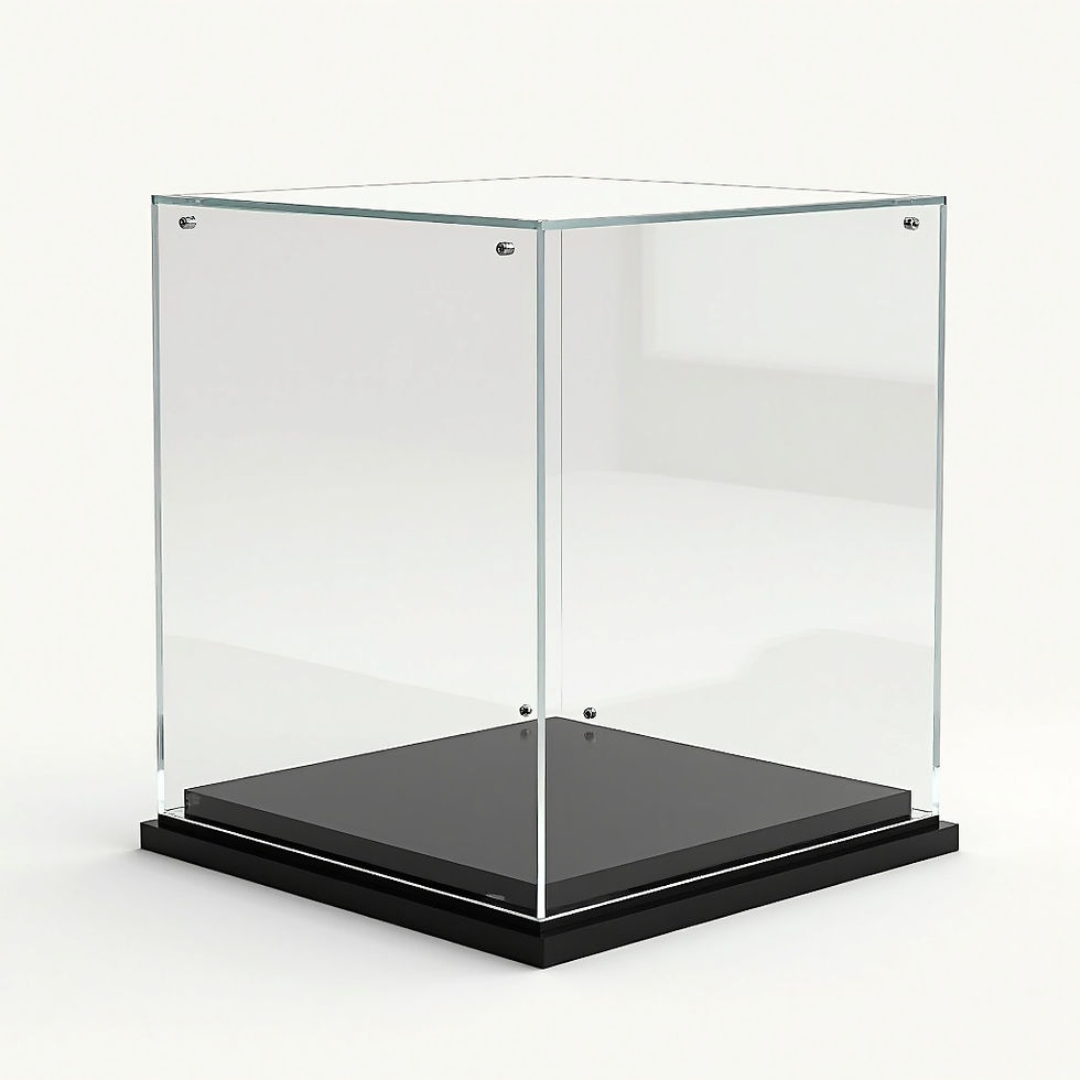 Toy Display Case